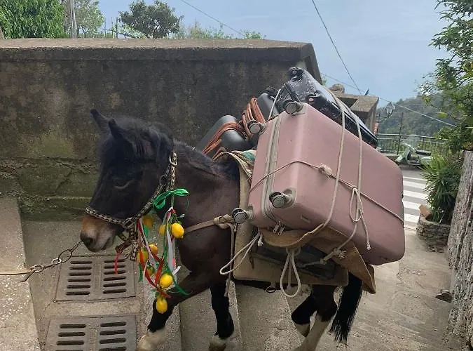 Casa Romelide Amazing View On Amalfi Coast