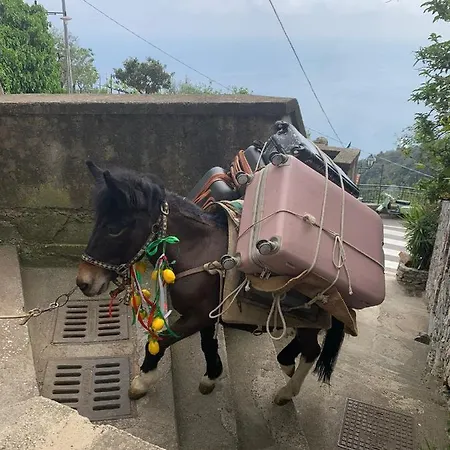 Casa Romelide Amazing View On Amalfi Coast